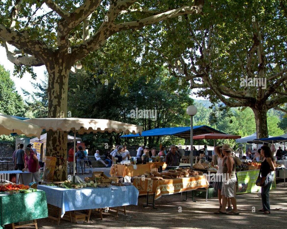 marche-a-st-jean-du-gard-dans-les-cevennes-gard-occitanie-2fk4ja1 marche-a-st-jean-du-gard-dans-les-cevennes-gard-occitanie-2fk4ja1
